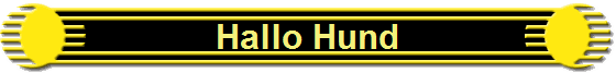 Hallo Hund